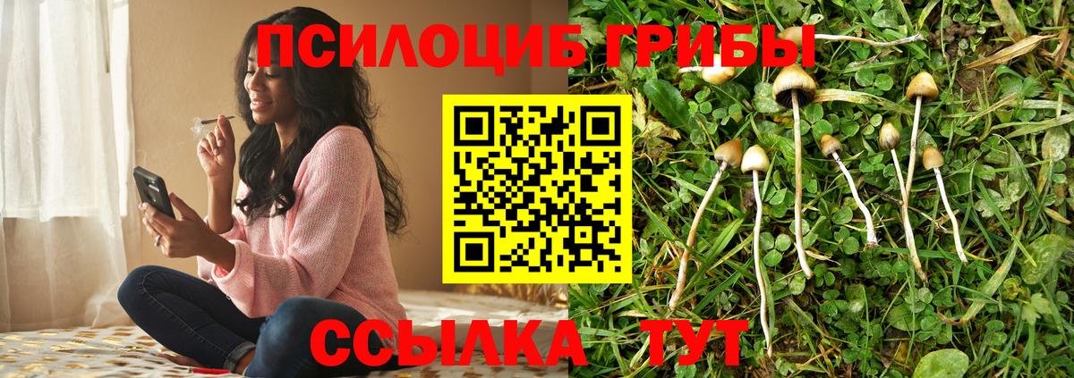 Рославль  Псилоцибиновые грибы Psilocybine cubensis  Псилоцибиновые грибы мицелий  Вход с VPN 