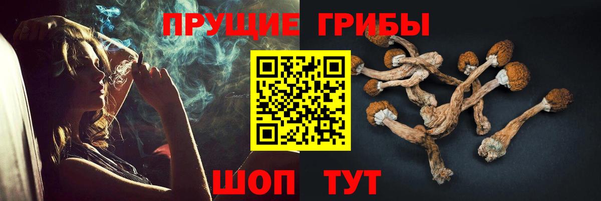 Галлюциногенные грибы мухоморы Рославль
